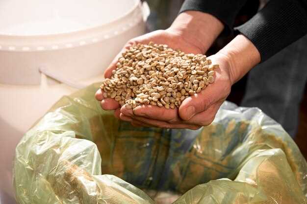 Раздел 3: Как правильно добавлять пшеничные отруби в ежедневное питание
