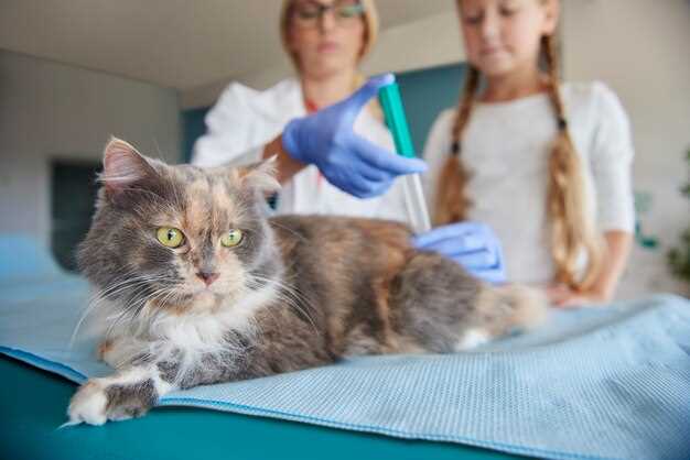 Как правильно дозировать цианокобаламин для кошек?